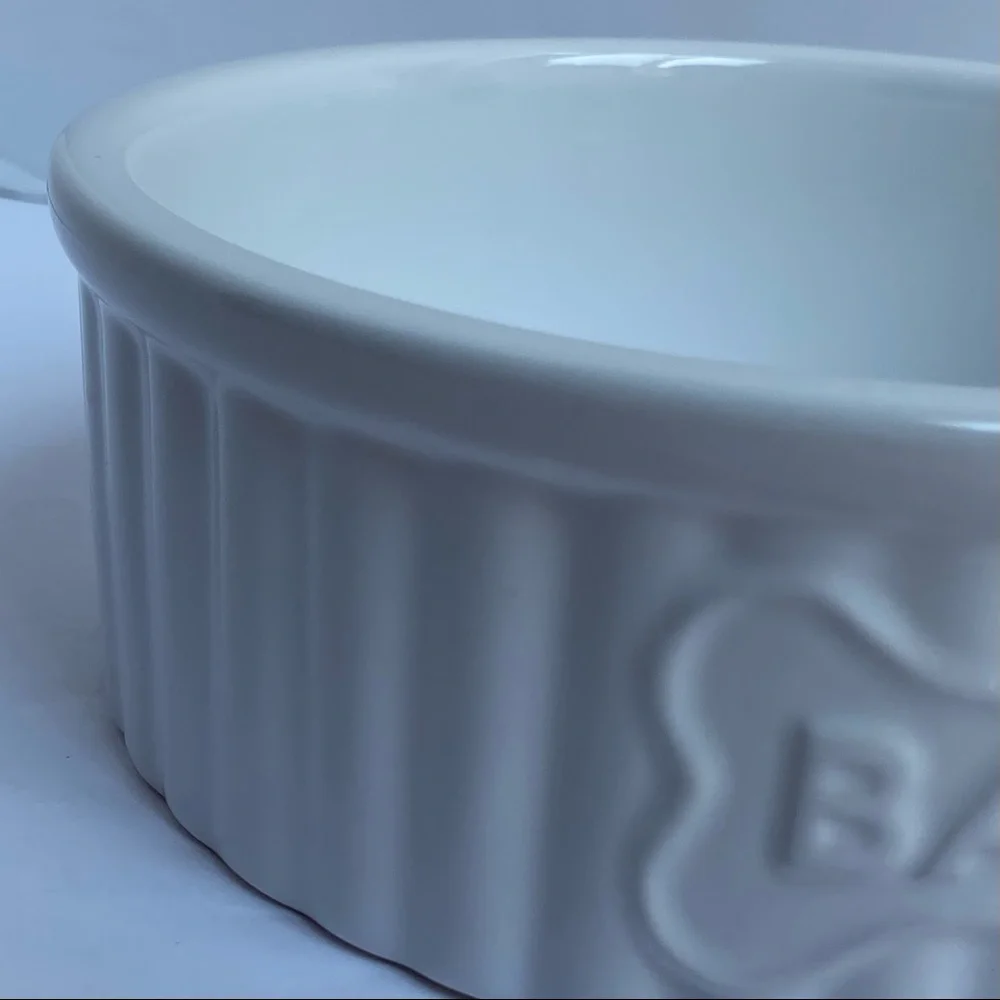 Dog Bowl White Ceramic 7” Bone Bark Ribbed Stoneware Dish Animal Planet EUC